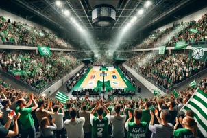Asvel Villeurbanne logo